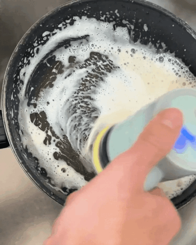 DishyBrush™